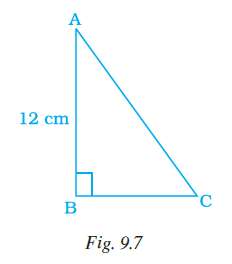 Page 259 Chapter 9 Class 7th NCERT Exemplar